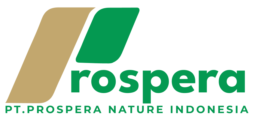 PNI Logo